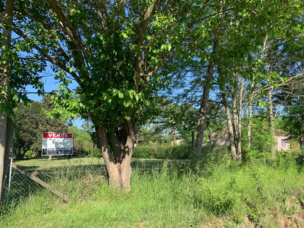 Se Vende Lote de Terreno, foto 2