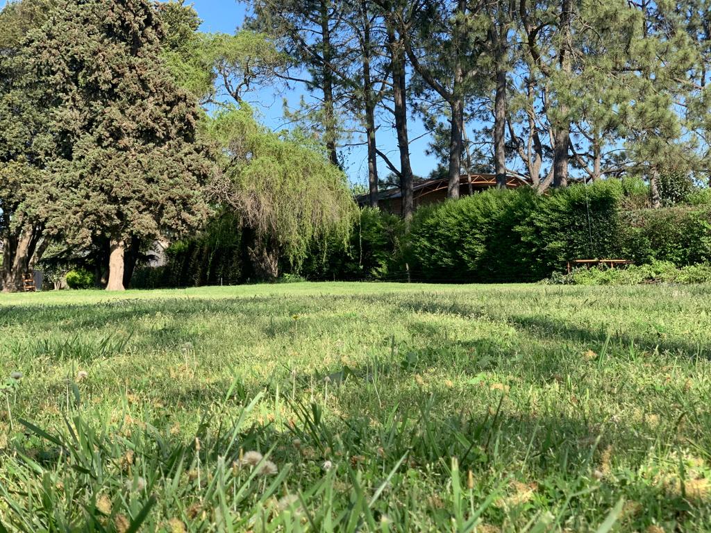 Se Vende Lote de Terreno, foto 13