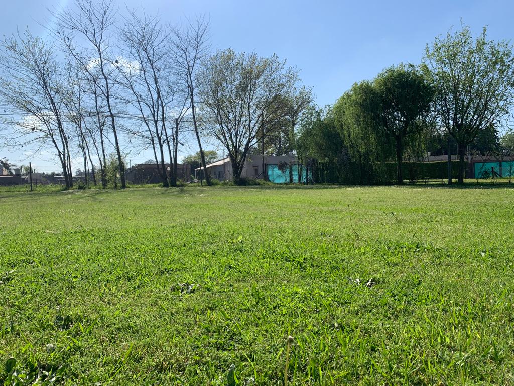 Se Vende Lote de Terreno, foto 6