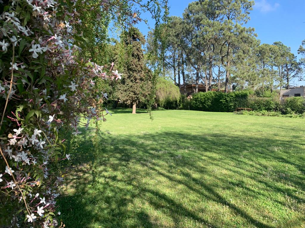 Se Vende Lote de Terreno, foto 11