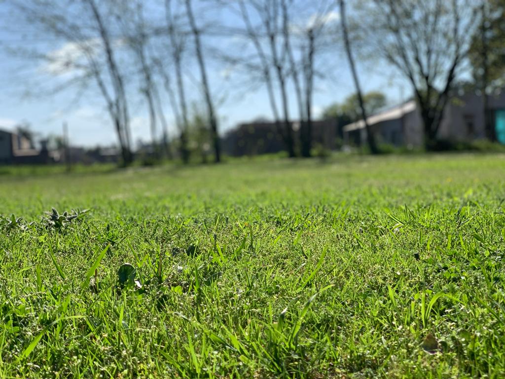 Se Vende Lote de Terreno, foto 16
