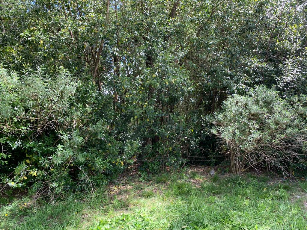 Se Vende Lote en Castilla, foto 20