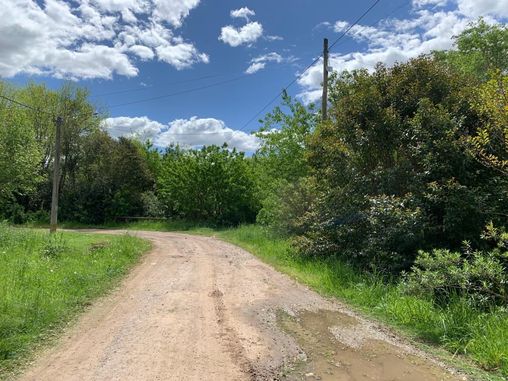 Se Vende Lote en Castilla, foto 21