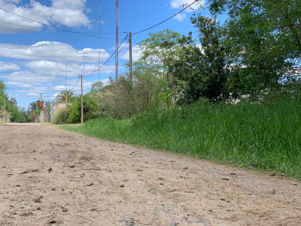 Se Vende Lote en Castilla, foto 5