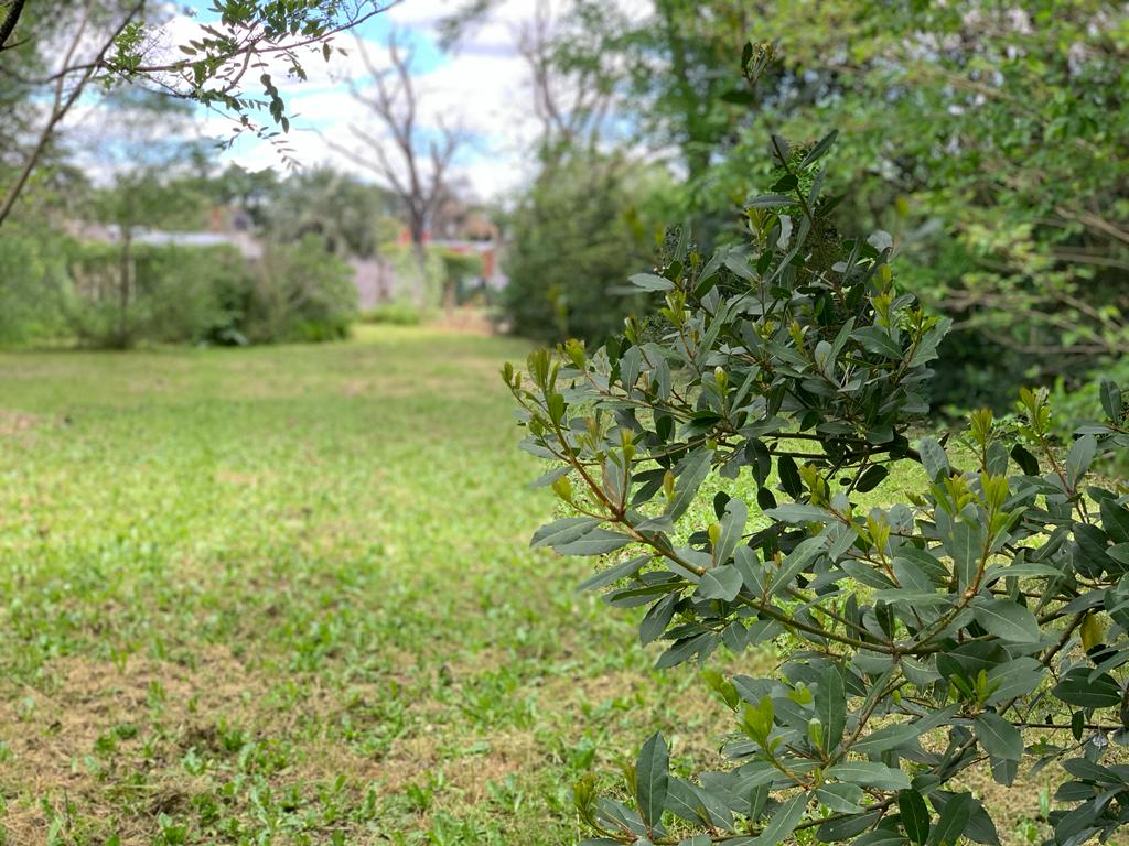 Se Vende Lote en Castilla, foto 7