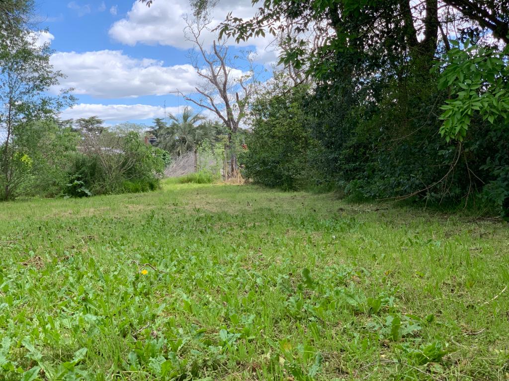 Se Vende Lote en Castilla, foto 8