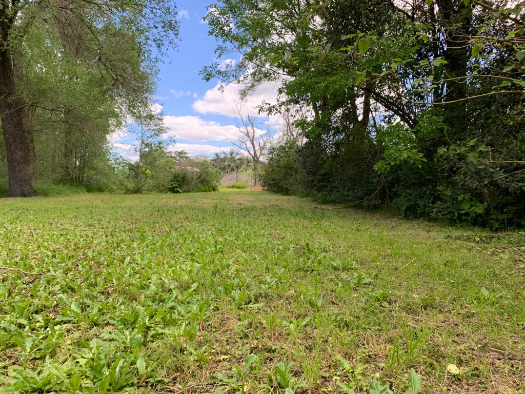 Se Vende Lote en Castilla, foto 10