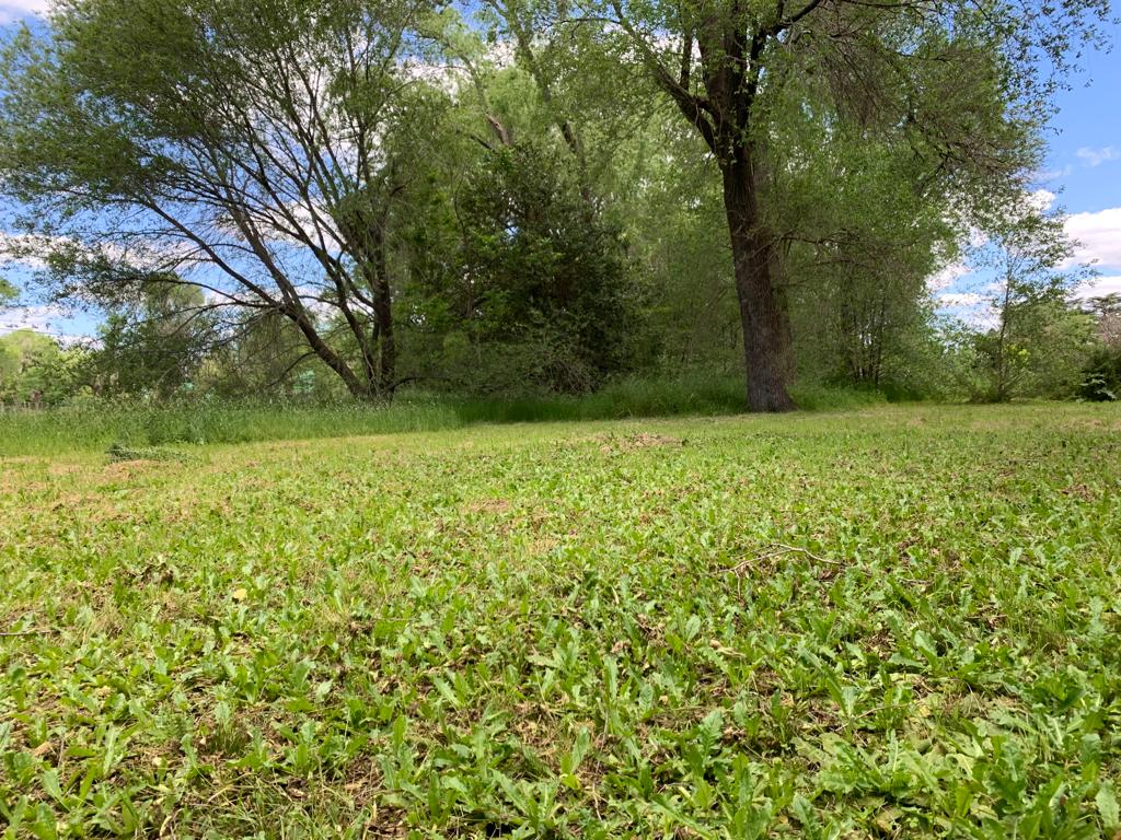 Se Vende Lote en Castilla, foto 1