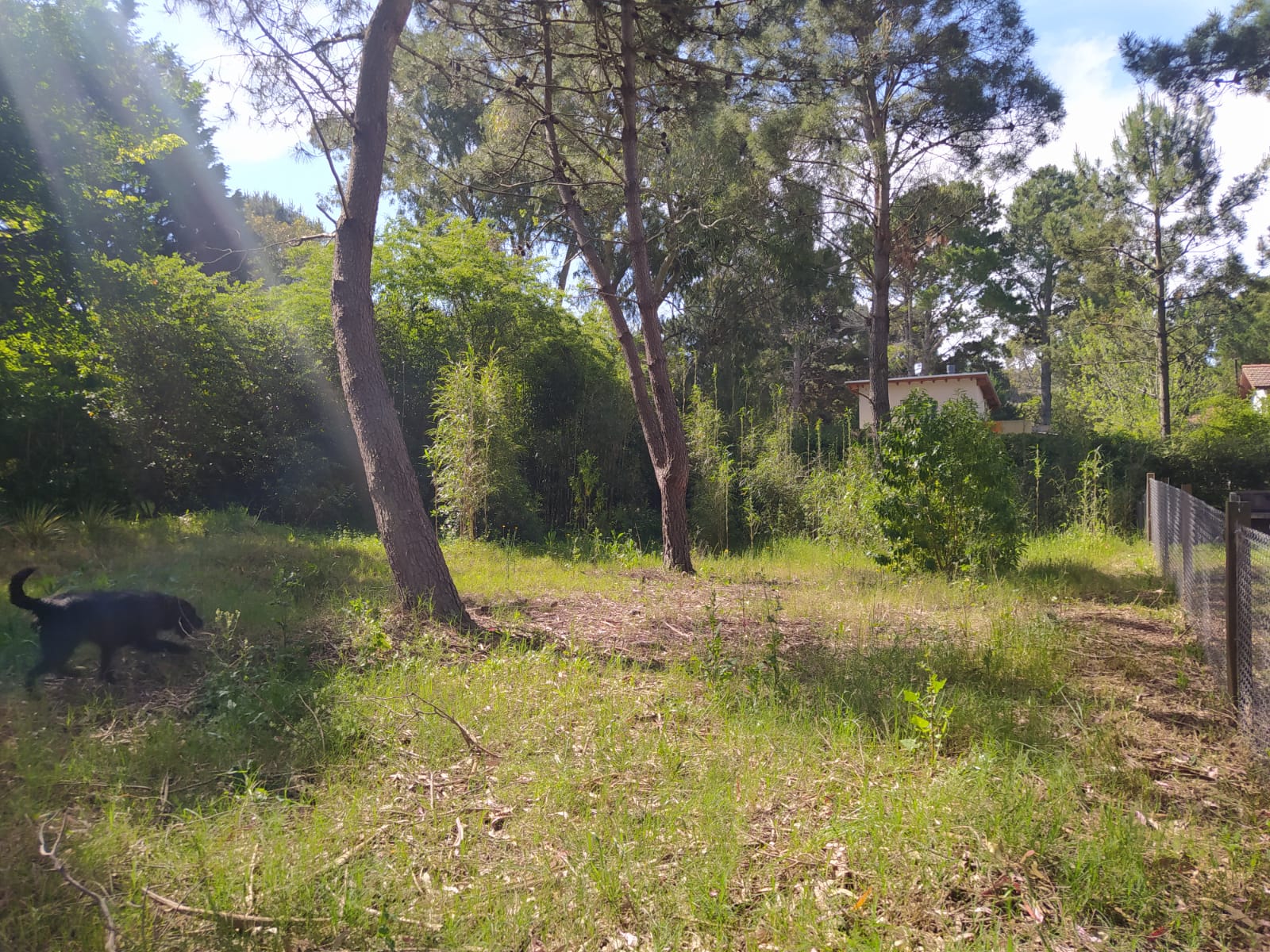 Se Vende Lote de Terreno en Valeria del Mar, foto 1