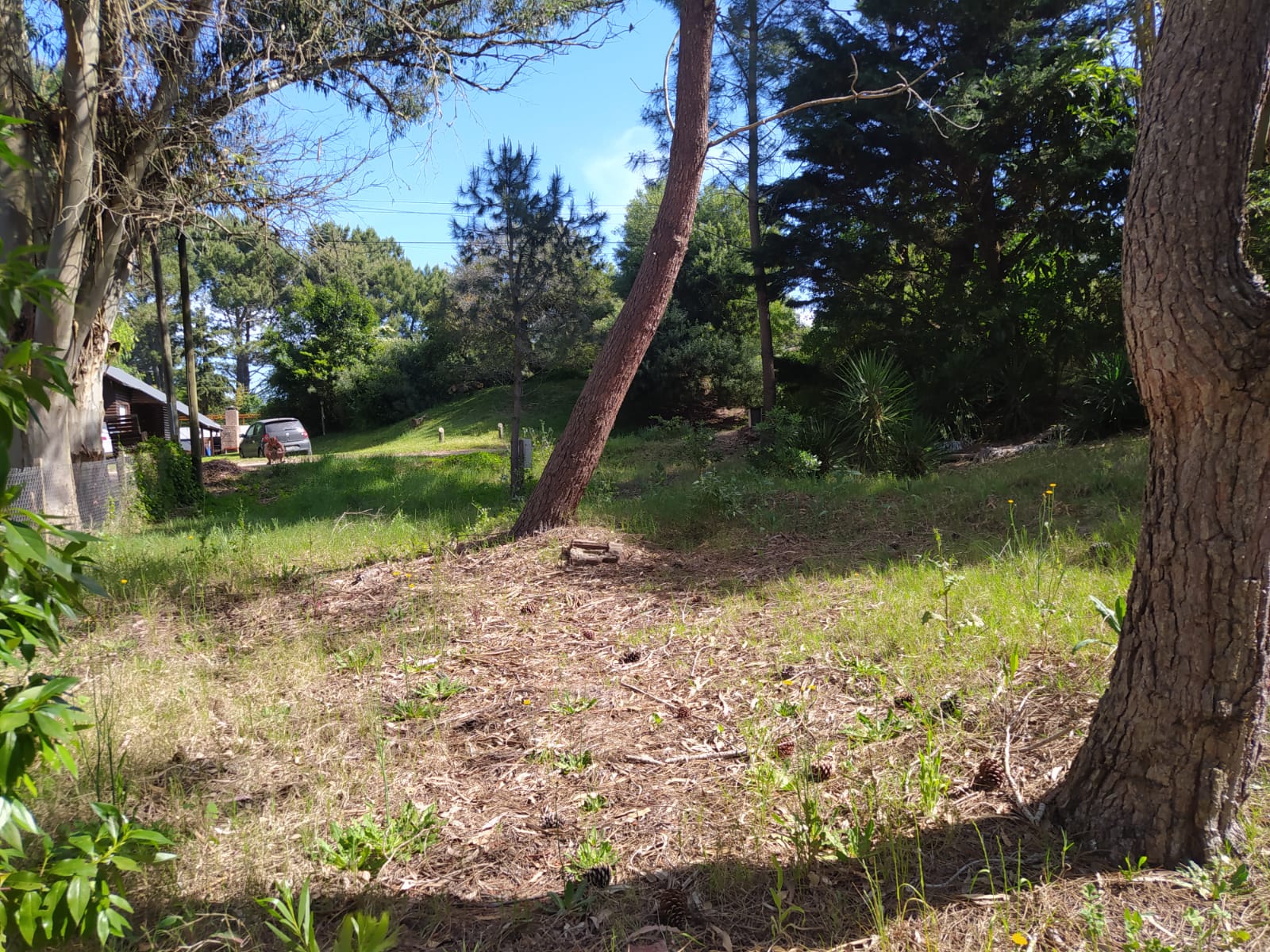 Se Vende Lote de Terreno en Valeria del Mar, foto 6