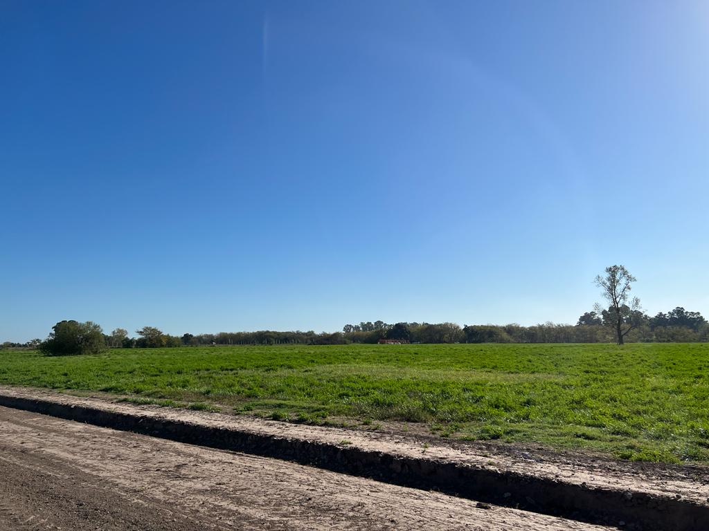 Loteo «El Centinela», foto 24
