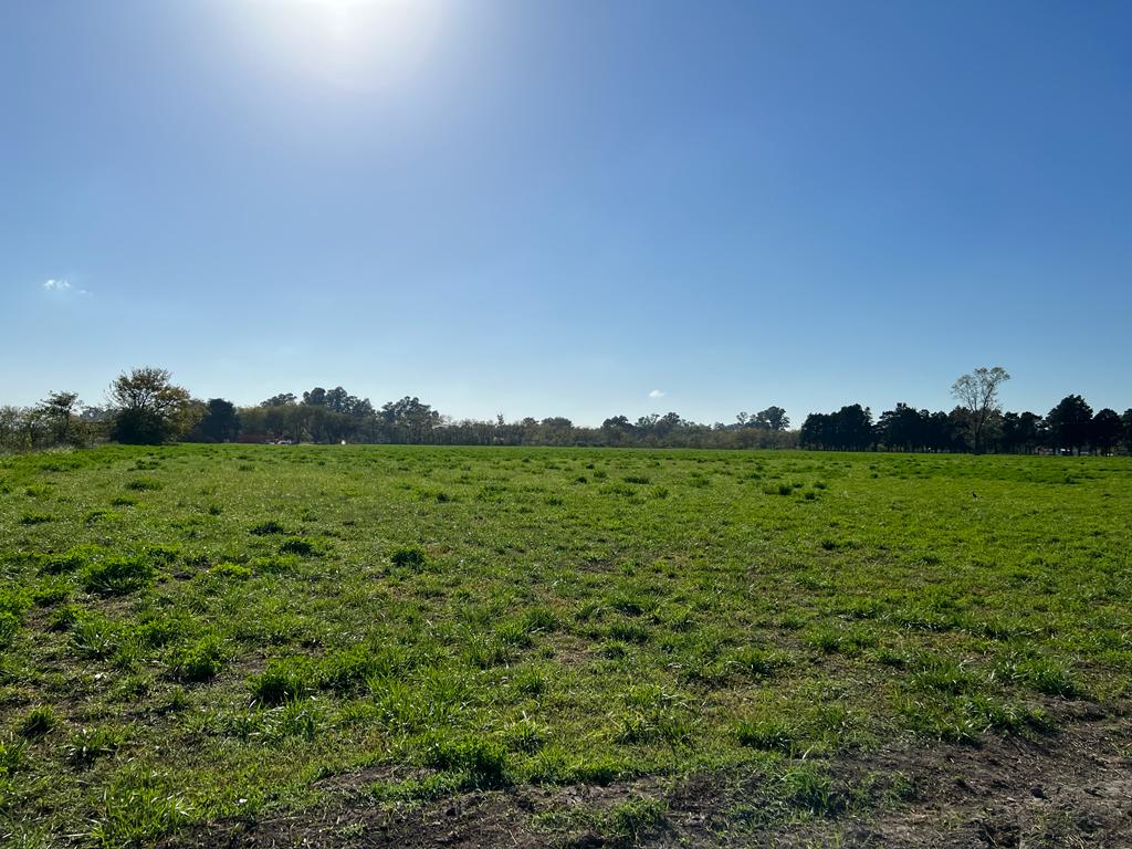 Loteo «El Centinela», foto 31