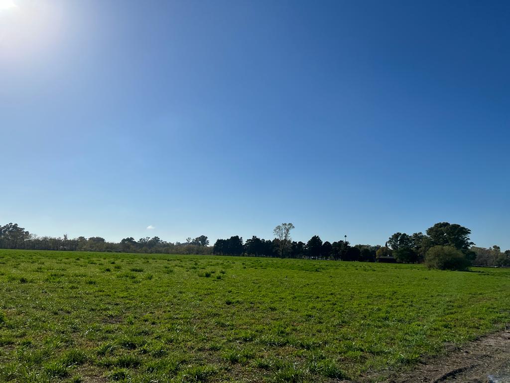 Loteo «El Centinela», foto 32