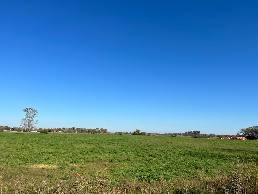 Loteo «El Centinela», foto 16