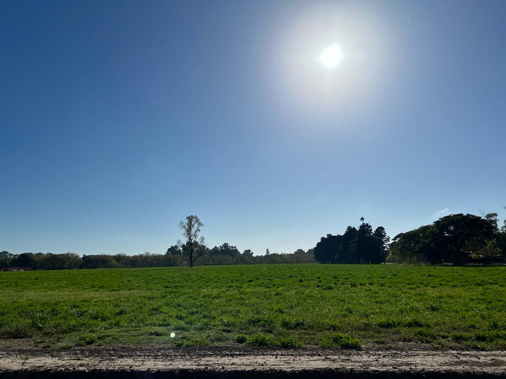Loteo «El Centinela», foto 23