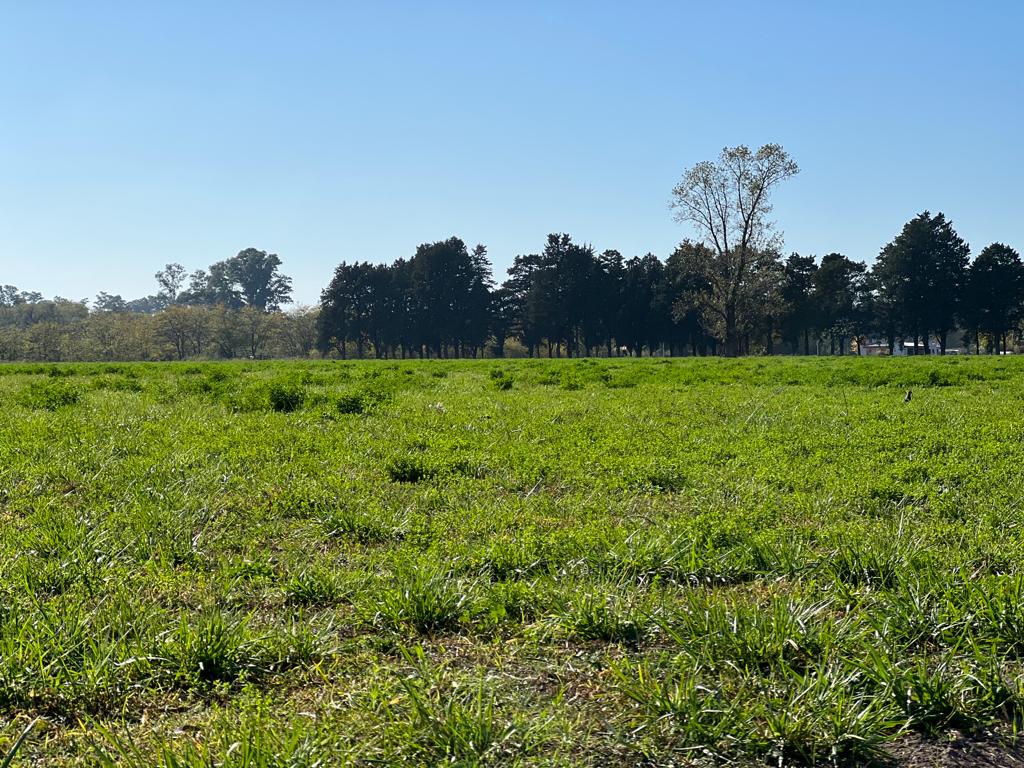 Loteo «El Centinela», foto 37