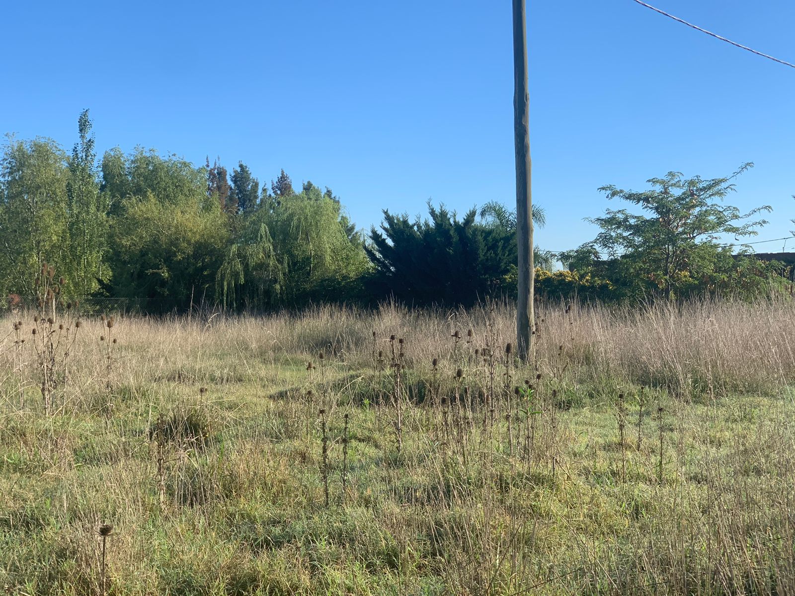 Se Venden 2 Lotes de Terreno, foto 12