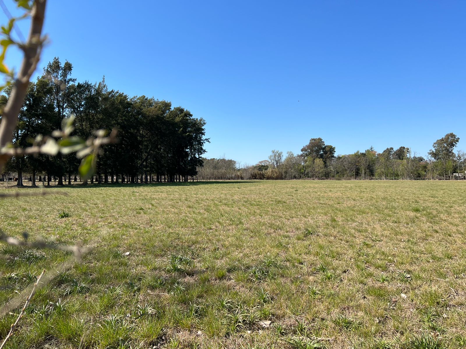 Se Vende Lote para Sudividir, foto 9