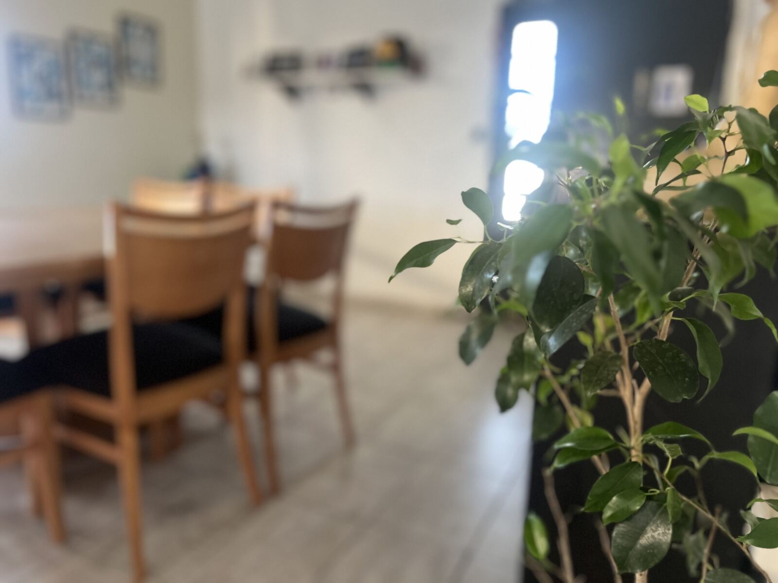 Se Vende Casa Quinta, foto 8