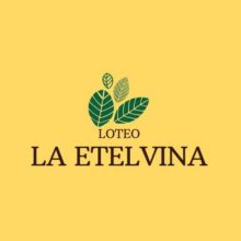 Loteo “La Etelvina”