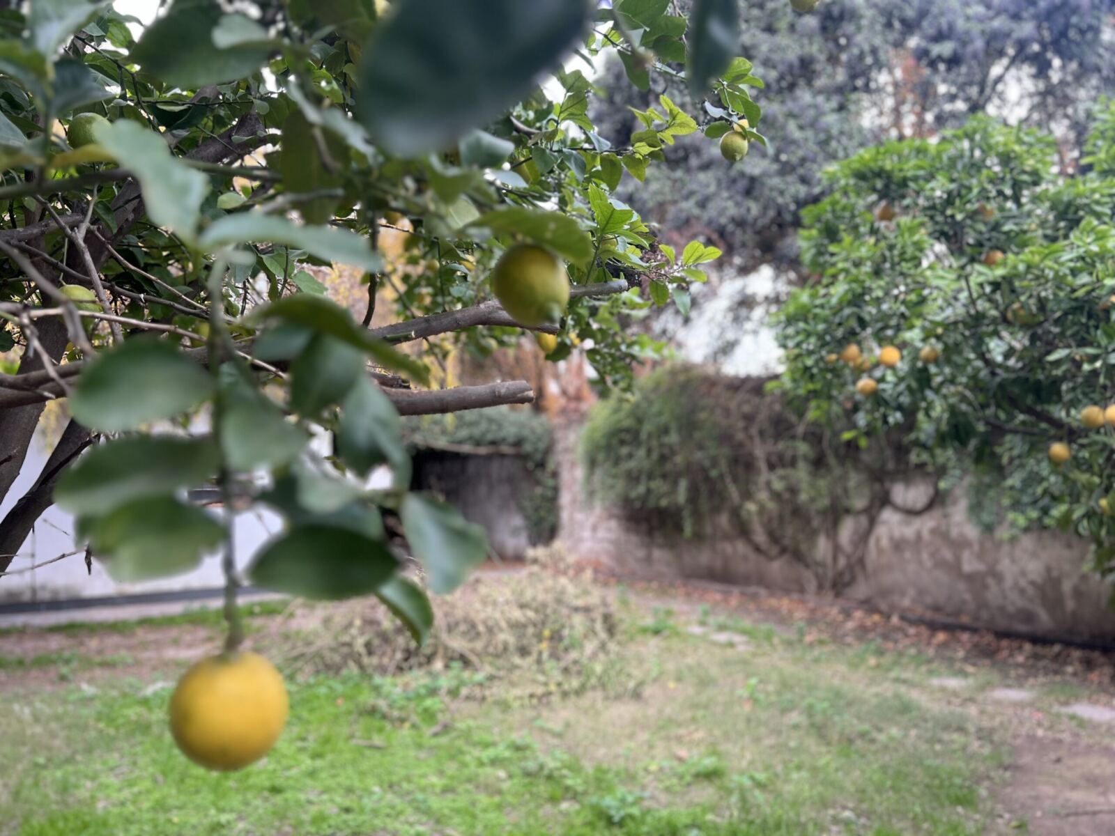Se Alquila Vivienda Híper Céntrica, foto 8