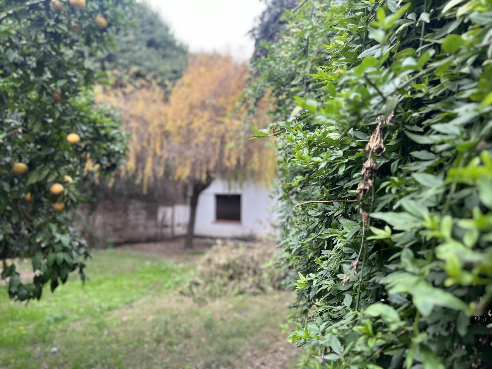 Se Alquila Vivienda Híper Céntrica, foto 5