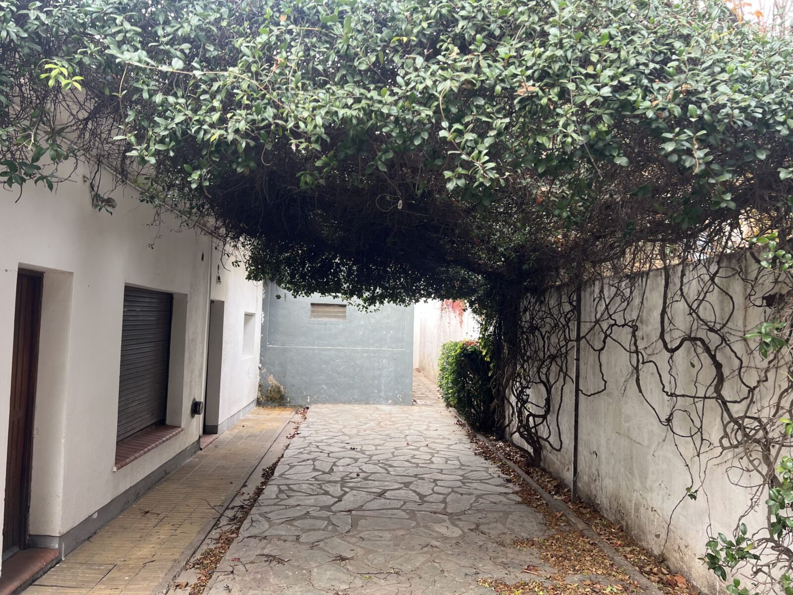 Se Alquila Vivienda Híper Céntrica, foto 4