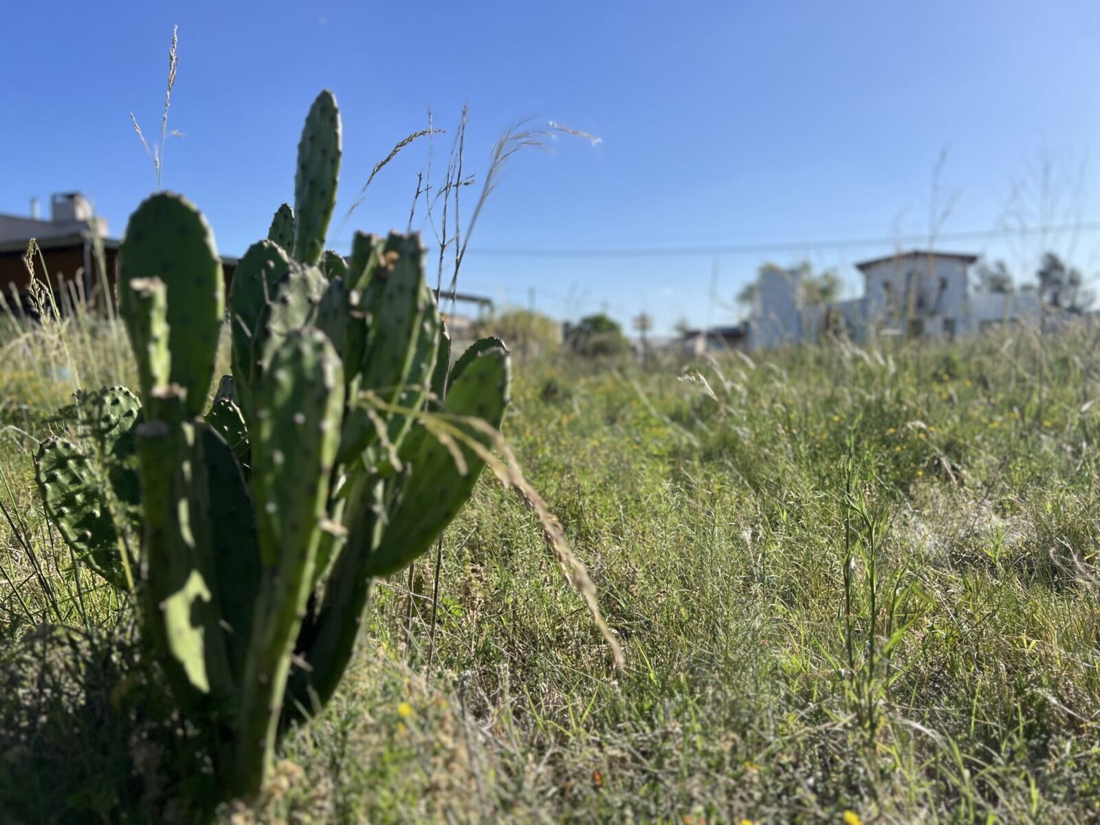 Se Vende Lote en Barrio Las Quintas, foto 7
