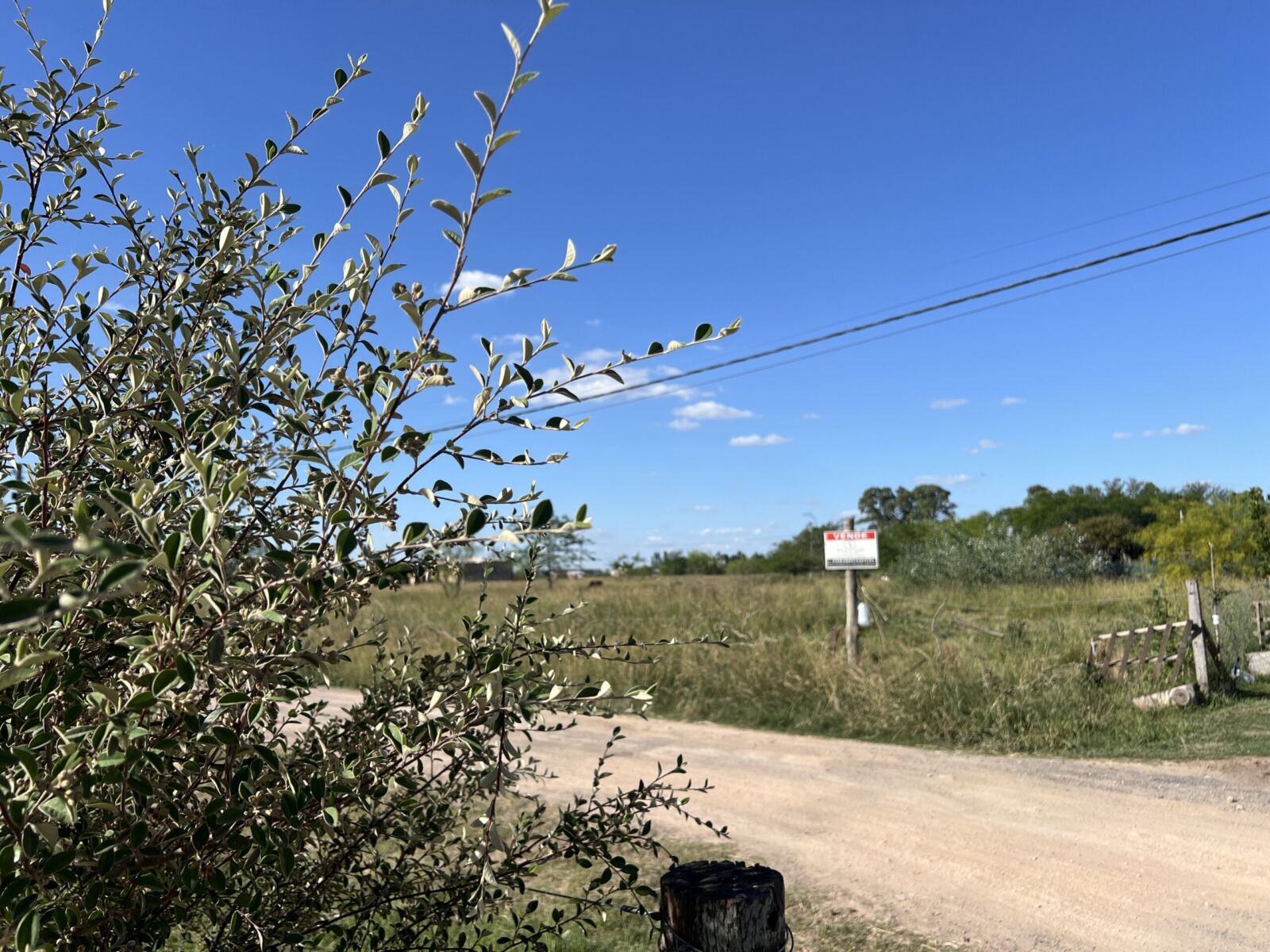 Se Vende Lote en Barrio Las Quintas, foto 3