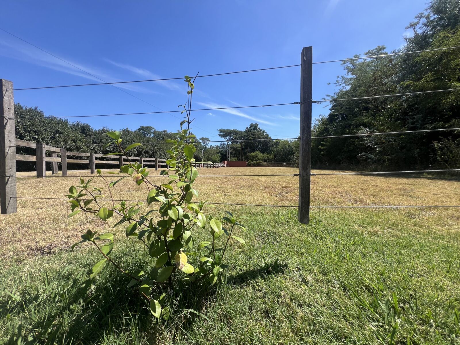 Se Vende Lote de Terreno, foto 10