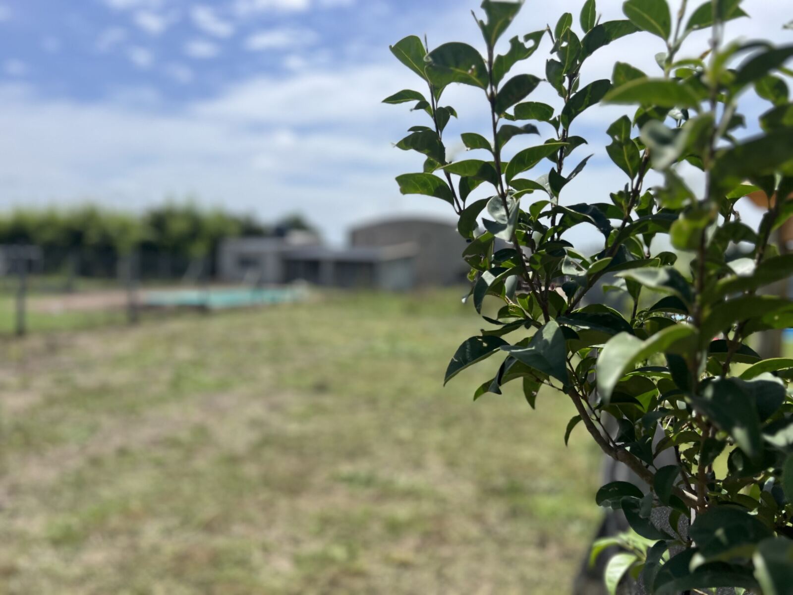 Se Vende Lote-Loteo «Palmira», foto 6