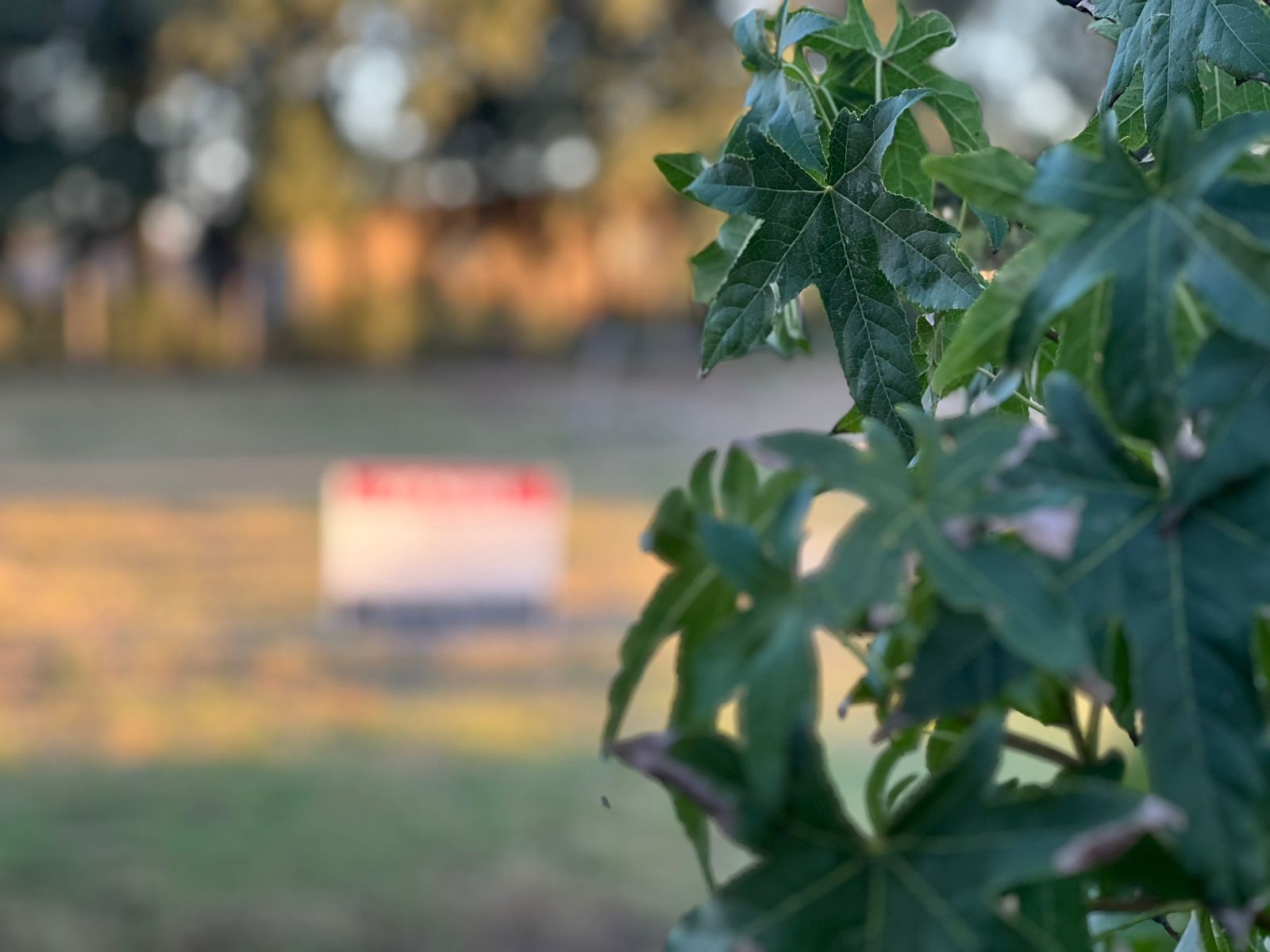 Se Vende Lote en «La Loma de la Quinta», foto 10