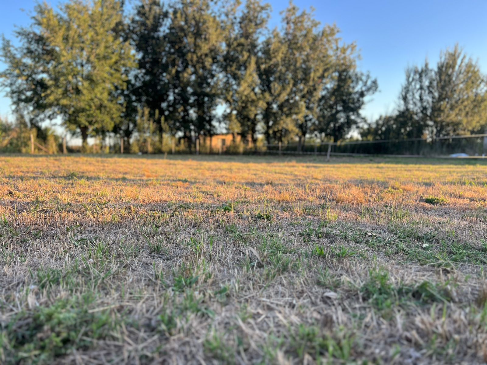 Se Vende Lote en «La Loma de la Quinta», foto 8