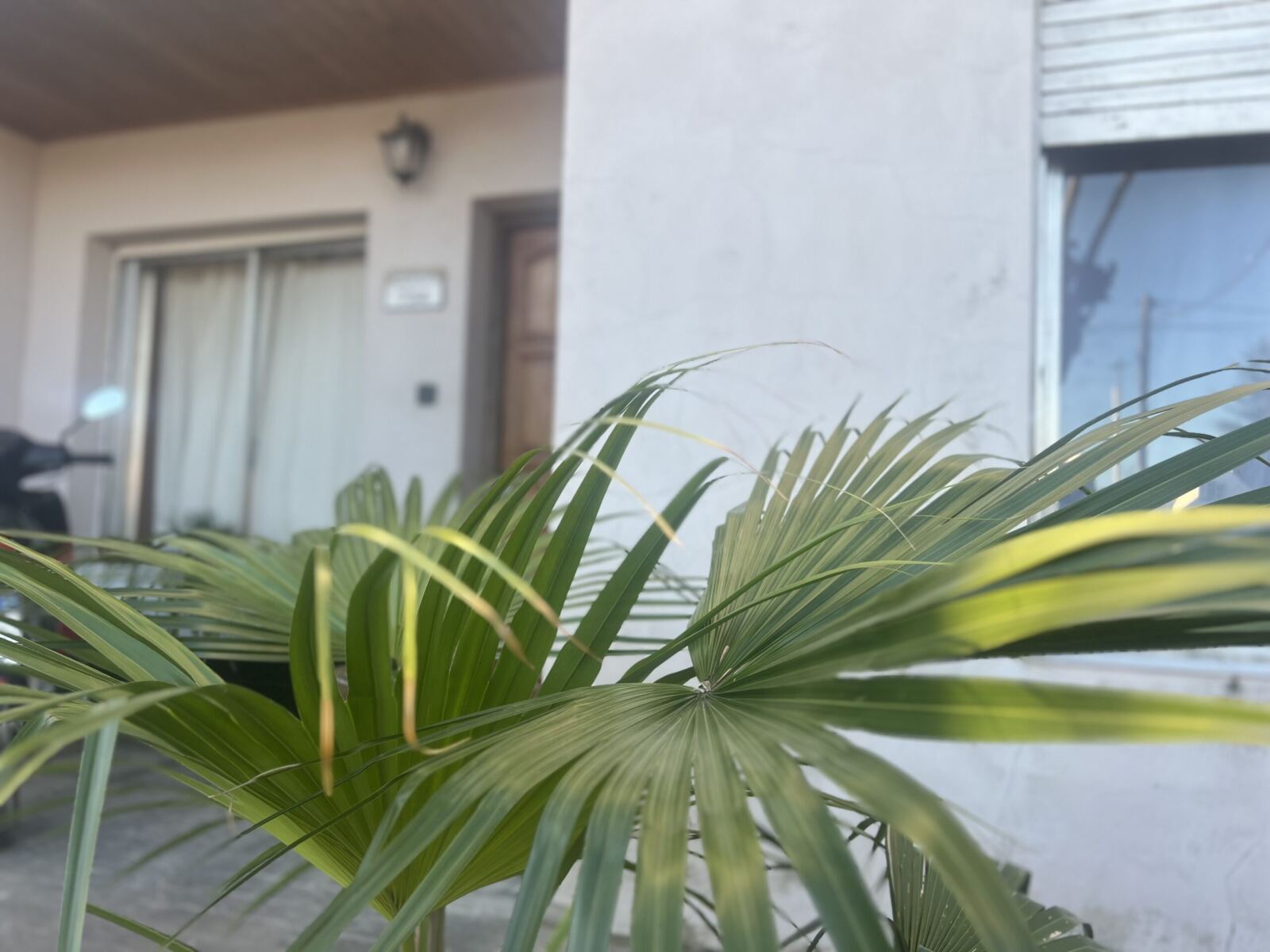 Se Vende Vivienda, foto 6