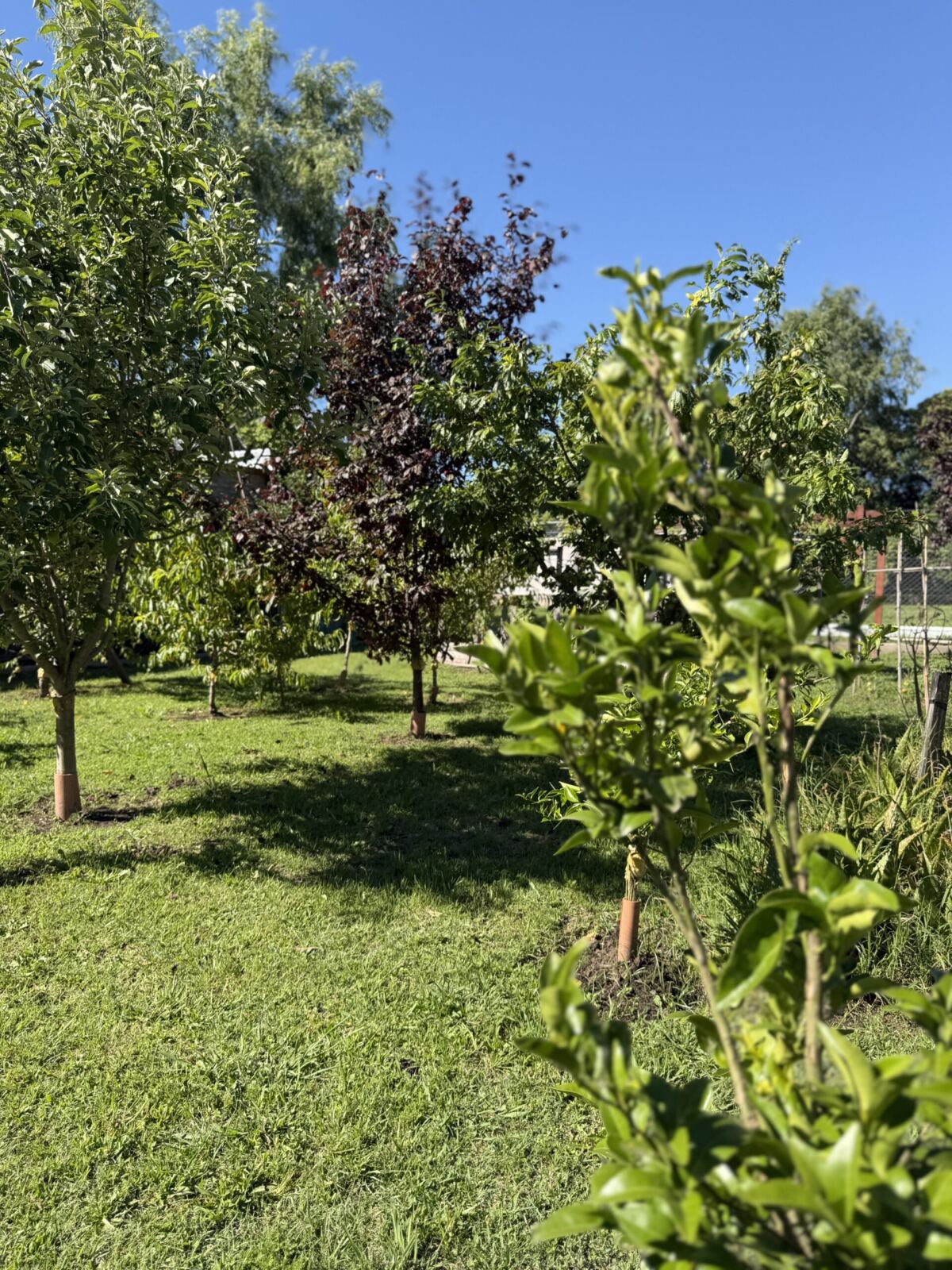 Se Vende Casa Quinta, foto 12