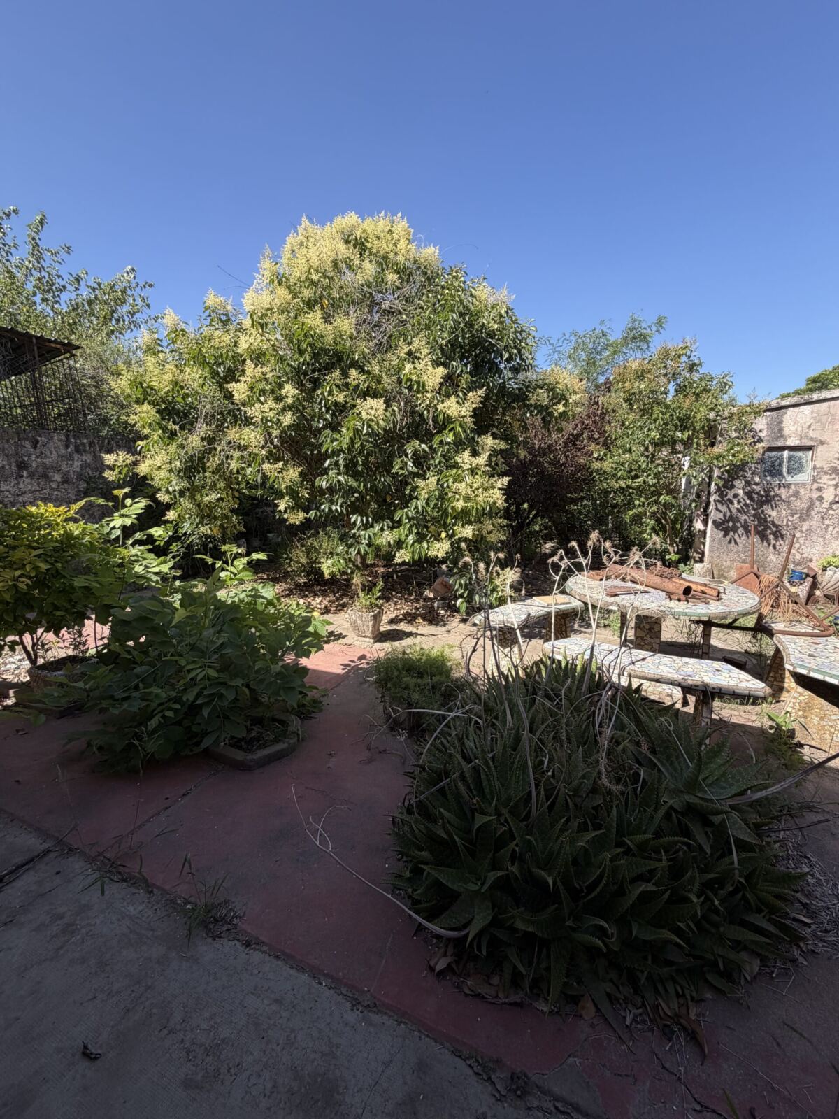 Se Vende Vivienda, foto 12