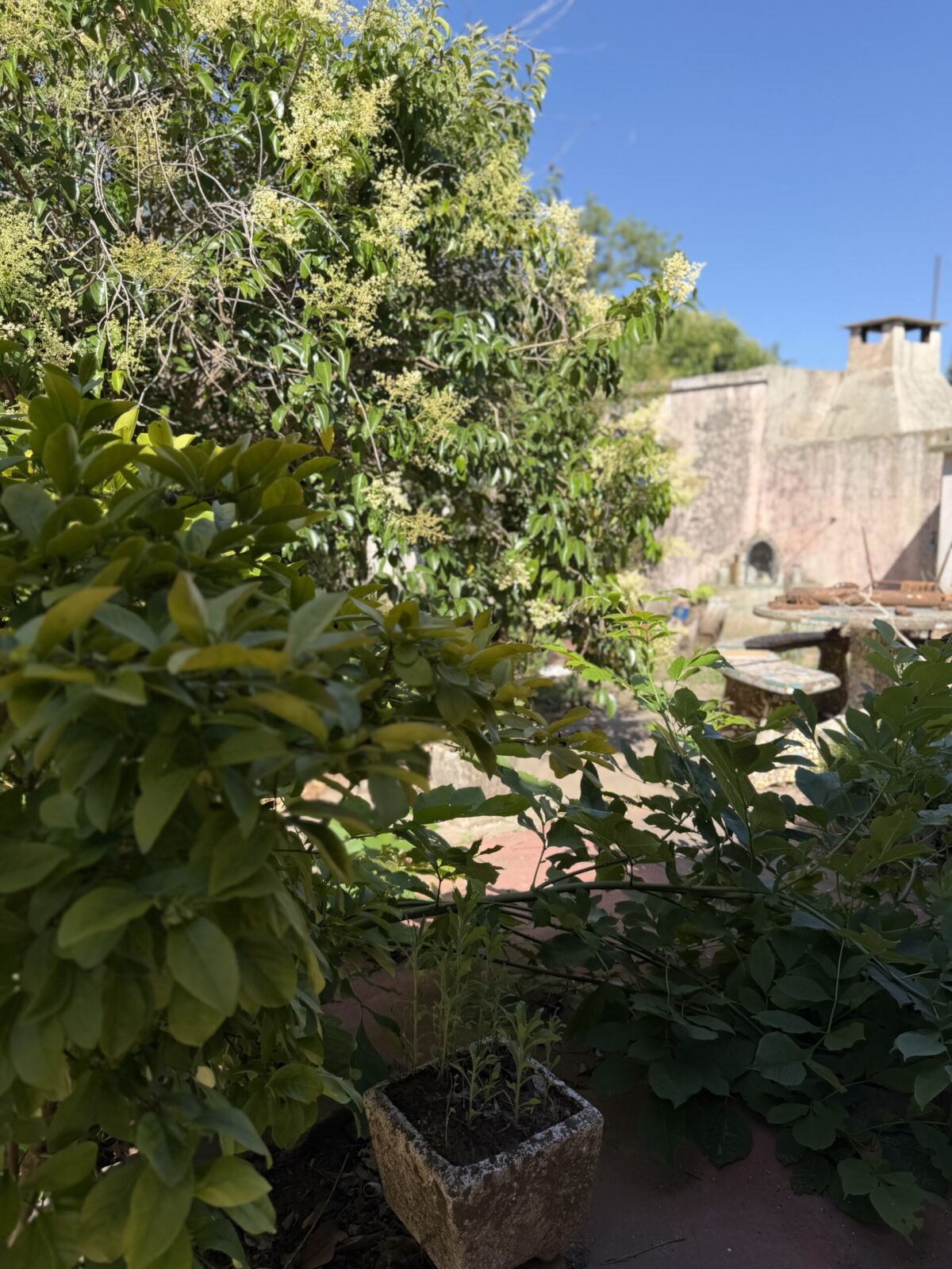 Se Vende Vivienda, foto 13
