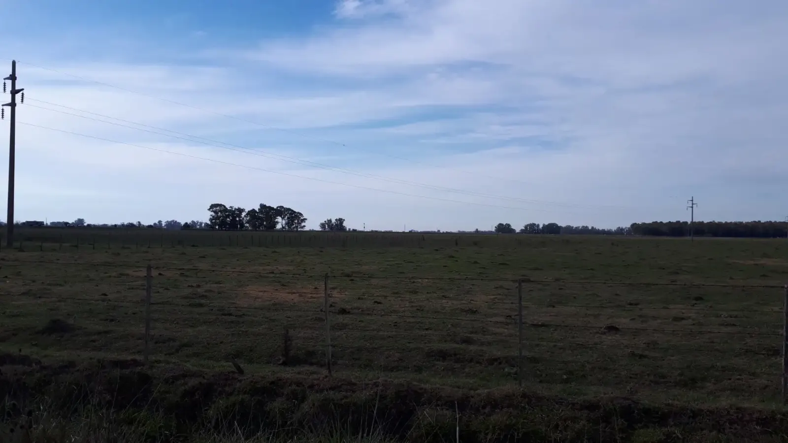 Se Vende Chacra de 5 Hectáreas, foto 4