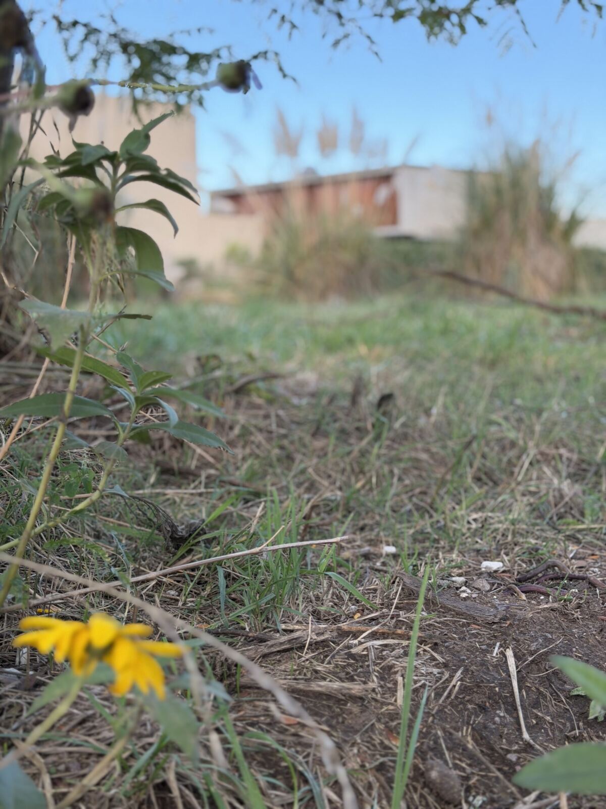 Se Vende Lote Zona Camping Club Comercio, foto 10