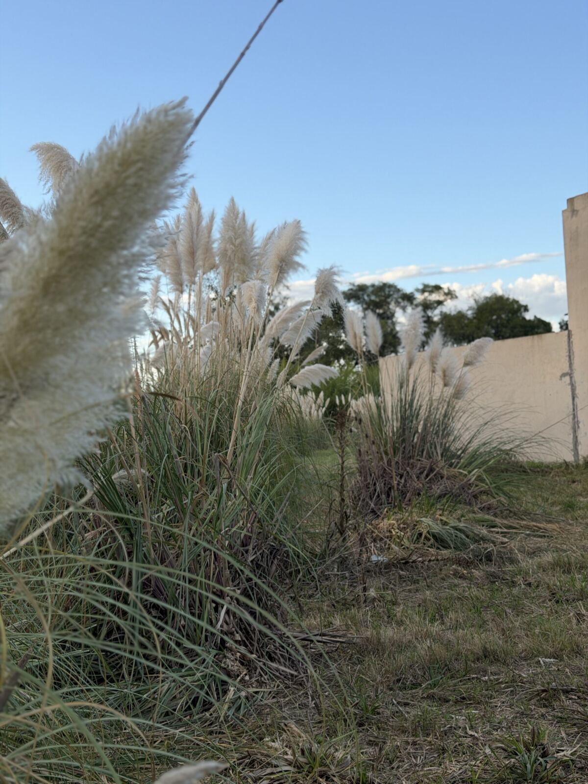 Se Vende Lote Zona Camping Club Comercio, foto 7