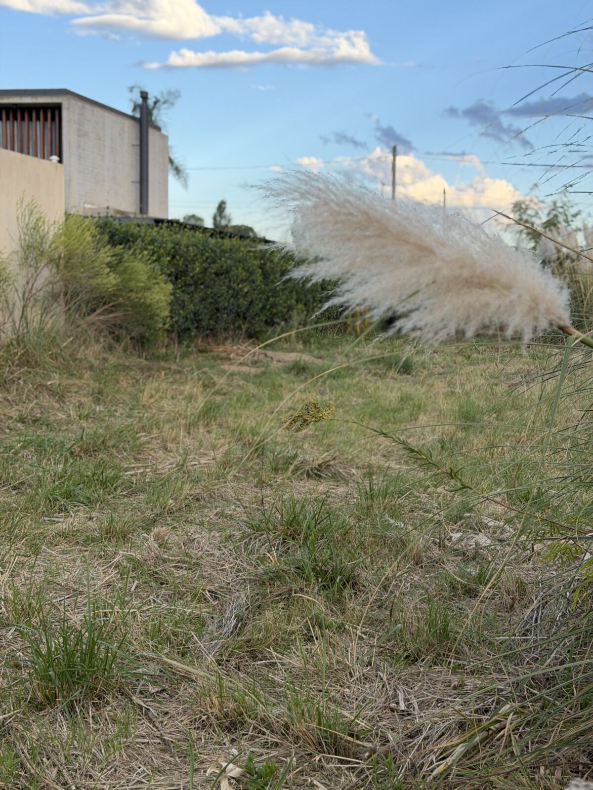 Se Vende Lote Zona Camping Club Comercio, foto 6