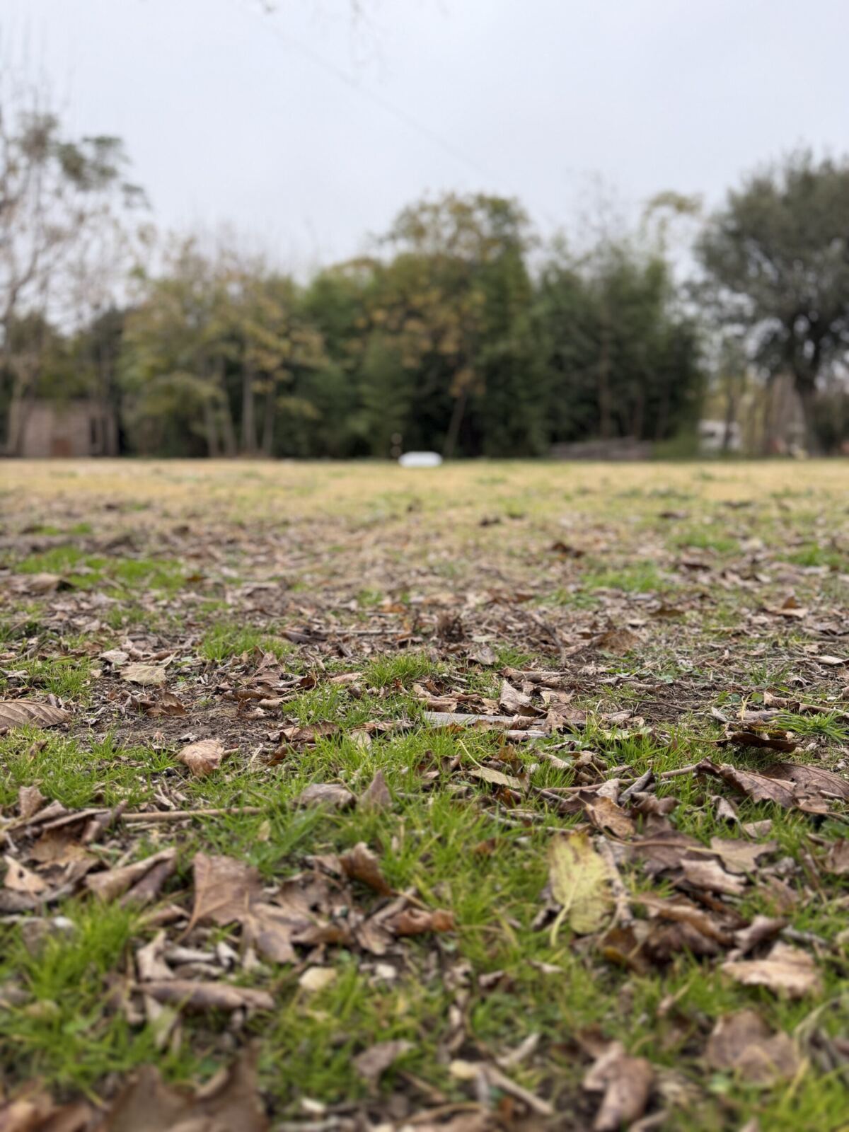 En Venta 2 lotes con Construcción a Reciclar, foto 5