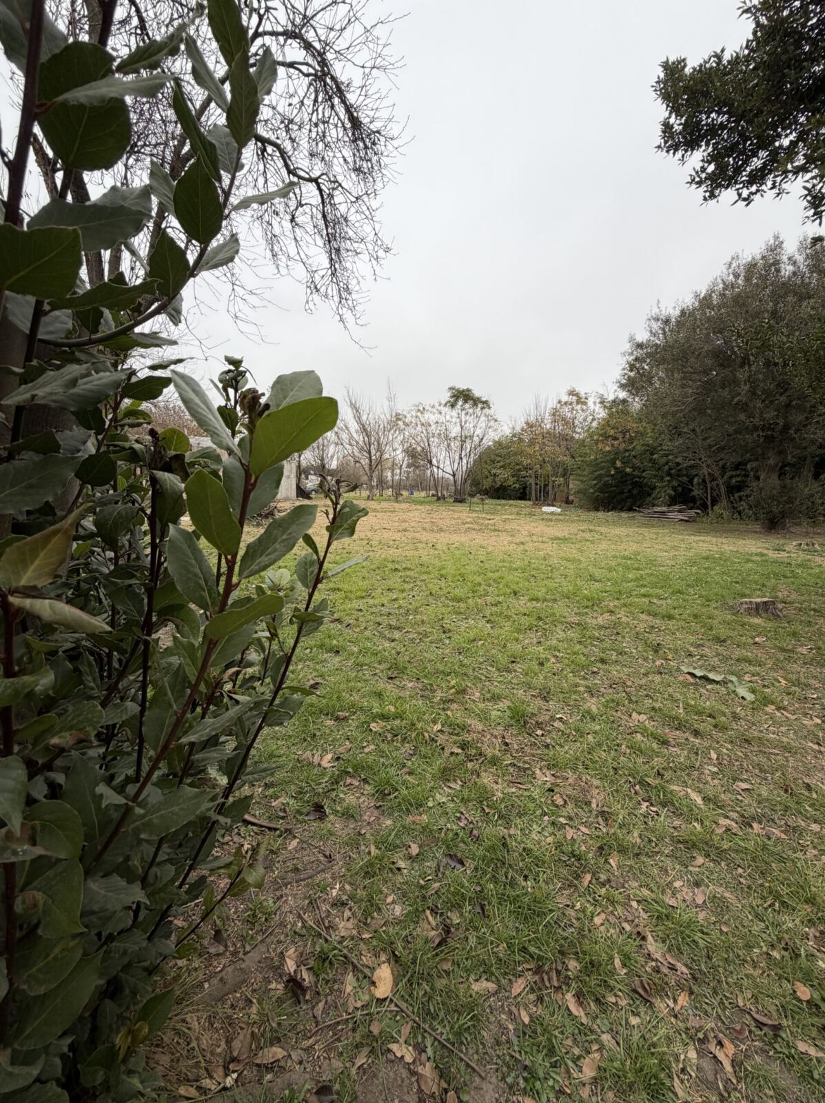 En Venta 2 lotes con Construcción a Reciclar, foto 7