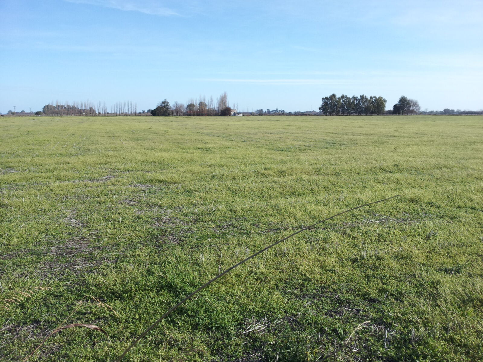 Se Vende Campo Agrícola, foto 1
