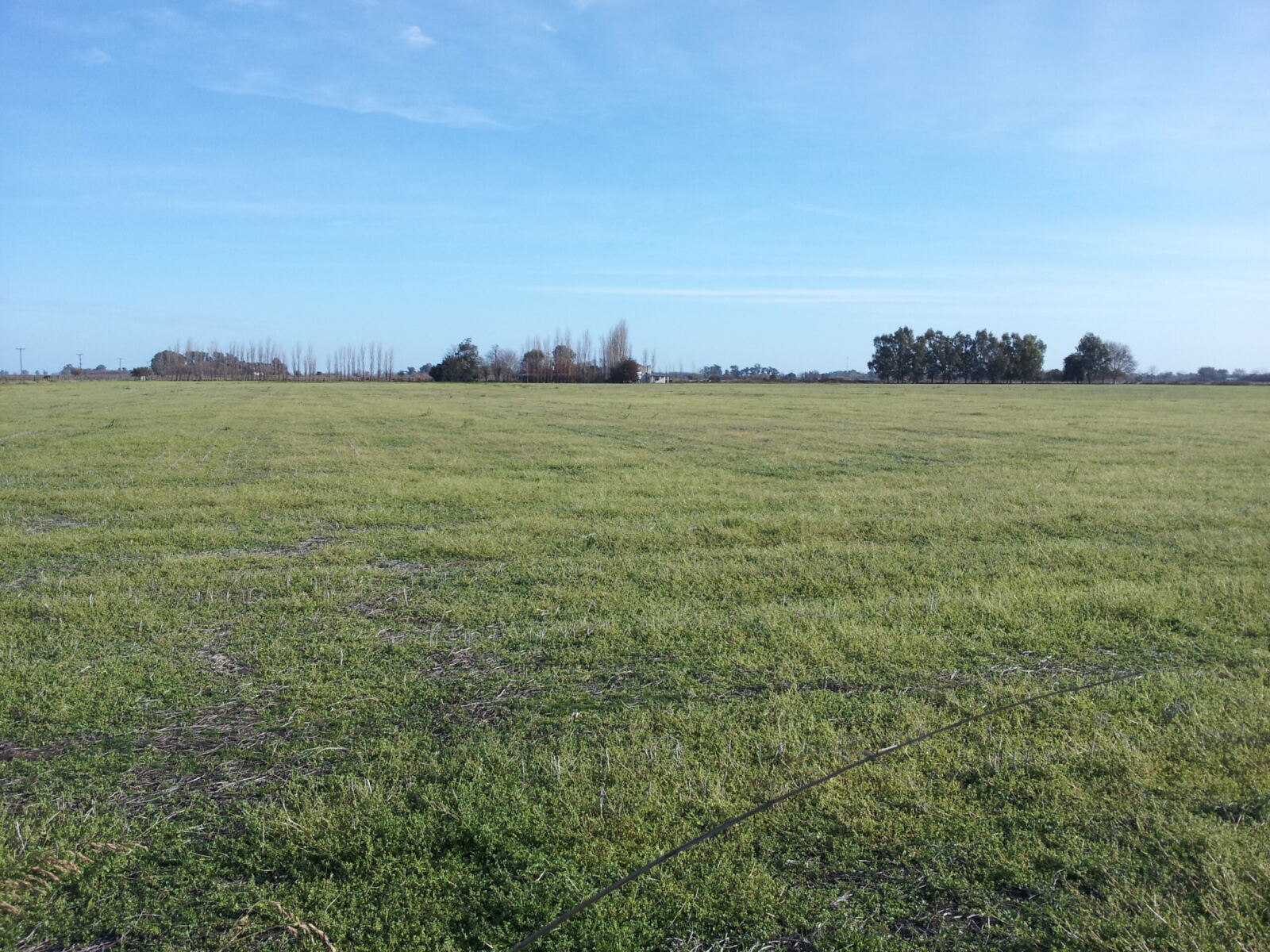Se Vende Campo Agrícola, foto 2
