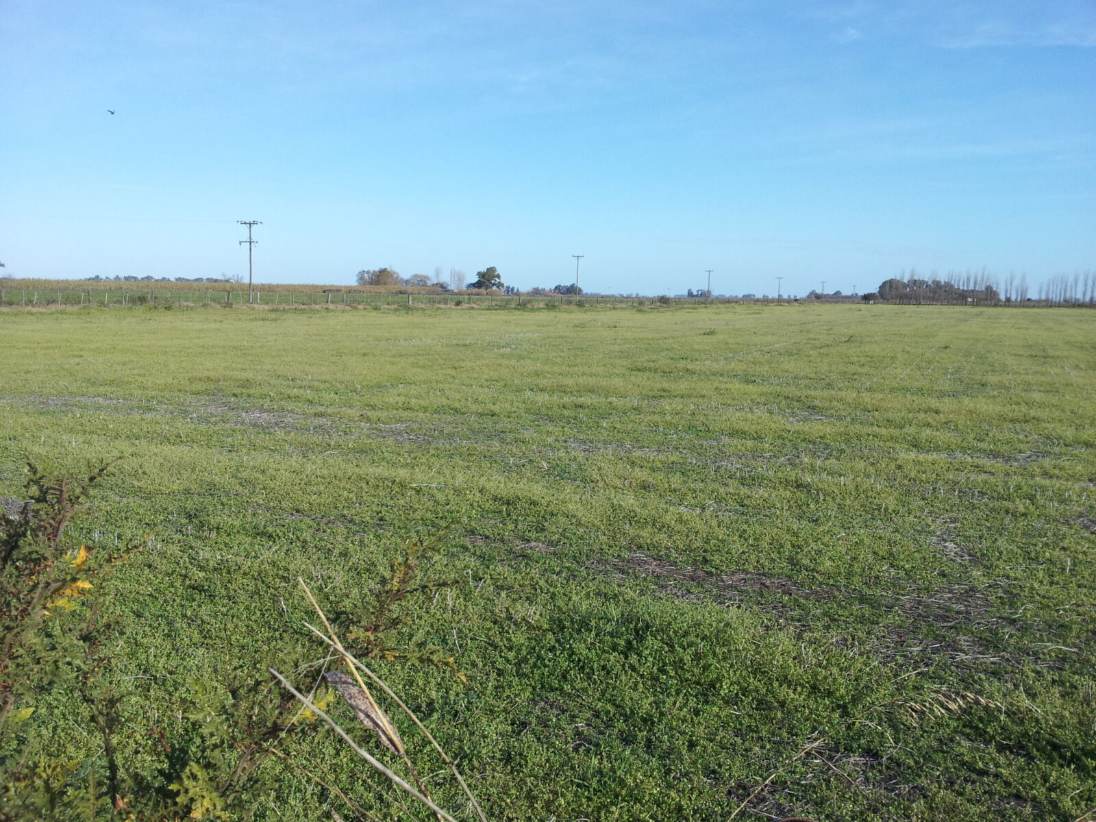 Se Vende Campo Agrícola, foto 3